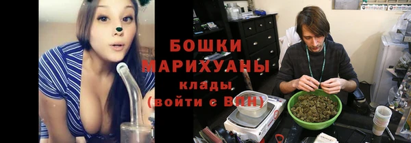 mdpv Бородино