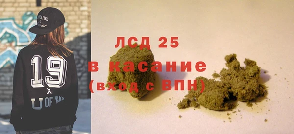mdpv Бородино